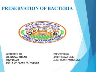 SUBMITTED TO
DR. KAMAL KHILARI
PROFESSOR
DEPTT OF PLANT PATHOLOGY
PRESERVATION OF BACTERIA
PRESENTED BY
ANKIT KUMAR SINGH
M.Sc. PLANT PATHOLOGY
 
