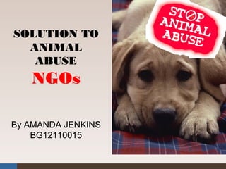 By AMANDA JENKINS
BG12110015
SOLUTION TO
ANIMAL
ABUSE
NGOs
 