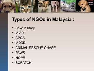 Types of NGOs in Malaysia :
 Save A Stray
 MIAR
 SPCA
 MDDB
 ANIMAL RESCUE CHASE
 PAWS
 HOPE
 SCRATCH
 