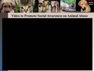 Video to Promote Social Awareness on Animal Abuse
 