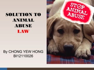 By CHONG YEW HONG
BI12110026
SOLUTION TO
ANIMAL
ABUSE
LAW
 
