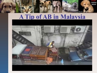 A Tip of AB in Malaysia
 