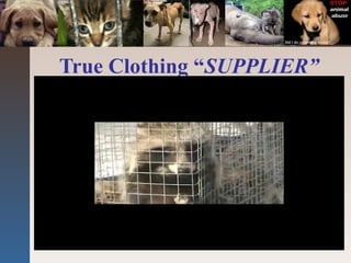 True Clothing “SUPPLIER”
 