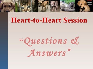 Heart-to-Heart Session
“Questions &
Answers”
 