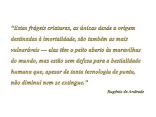 Resumos de Atividades PAA 2012