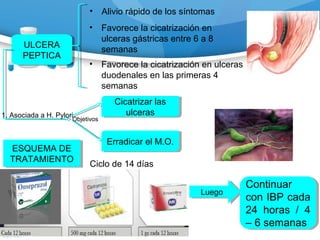 ULCERA
PEPTICA
ULCERA
PEPTICA
• Alivio rápido de los síntomas
• Favorece la cicatrización en
ulceras gástricas entre 6 a 8
semanas
• Favorece la cicatrización en ulceras
duodenales en las primeras 4
semanas
1. Asociada a H. Pylori
Cicatrizar las
ulceras
Cicatrizar las
ulceras
Erradicar el M.O.Erradicar el M.O.
Objetivos
ESQUEMA DE
TRATAMIENTO
ESQUEMA DE
TRATAMIENTO
Ciclo de 14 días
LuegoLuego
Continuar
con IBP cada
24 horas / 4
– 6 semanas
Continuar
con IBP cada
24 horas / 4
– 6 semanas
 
