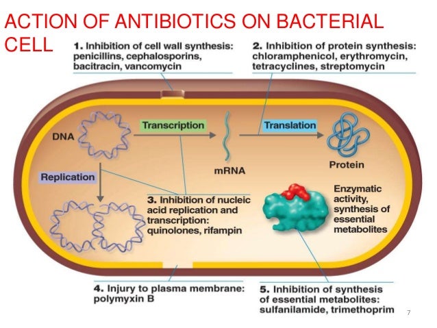 Antibiotic resistance-MADHURI RUDRARAJU