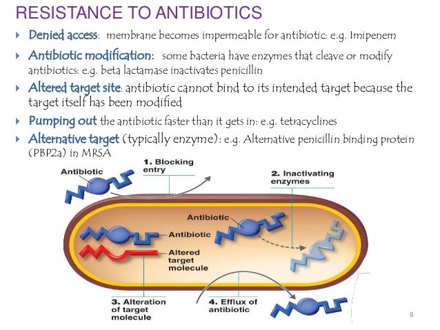 Antibiotic resistance-MADHURI RUDRARAJU