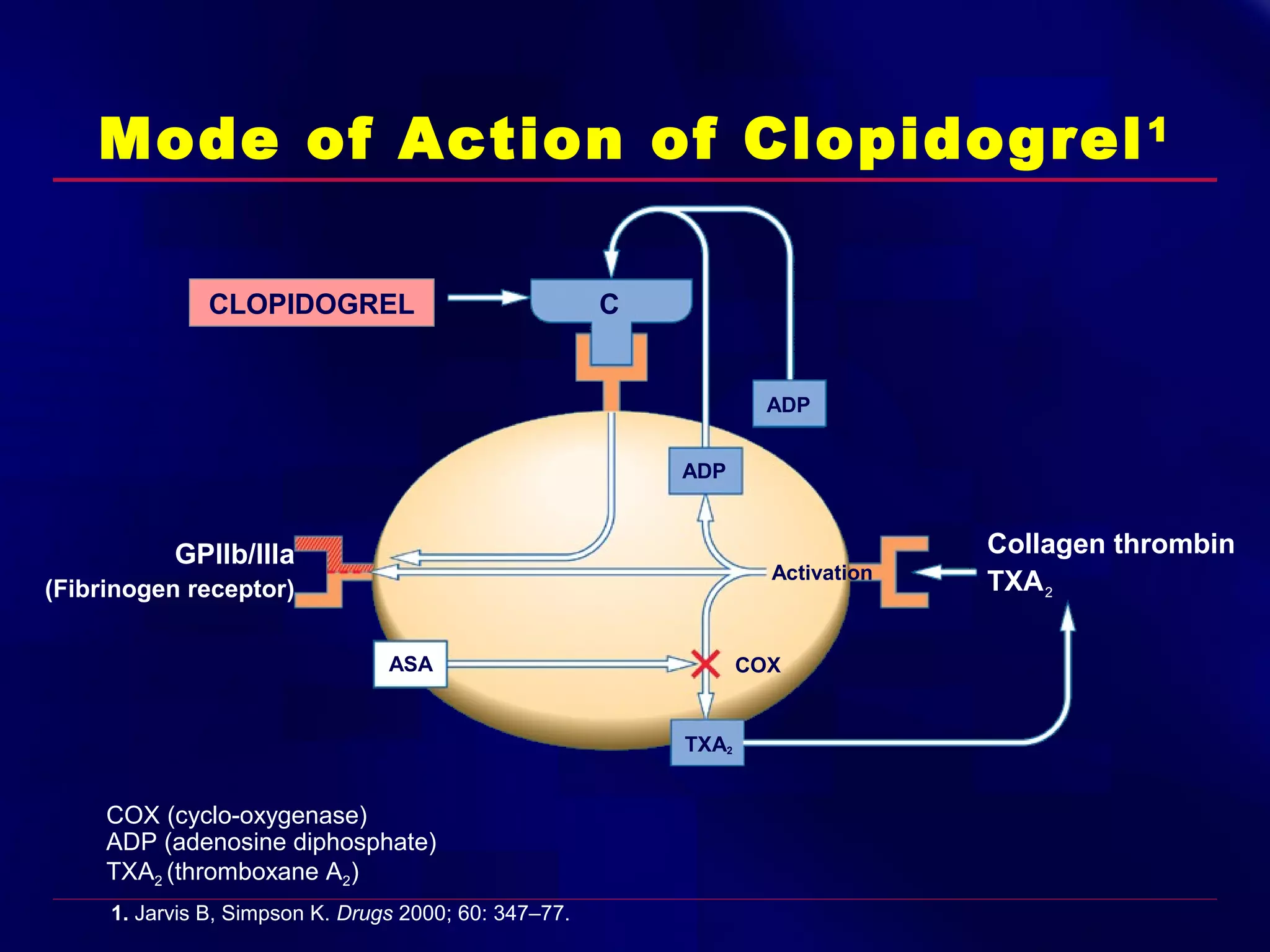 Mode of Action of Clopidogrel 1
CLOPIDOGREL

C

ADP
ADP

GPllb/llla

Activation

(Fibrinogen receptor)
ASA

COX

TXA2

COX (cyclo-oxygenase)
ADP (adenosine diphosphate)
TXA2 (thromboxane A2)
1. Jarvis B, Simpson K. Drugs 2000; 60: 347–77.

Collagen thrombin
TXA 2

 