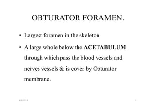 OBTURATOR FORAMEN.

• Largest foramen in the skeleton.

• A large whole below the ACETABULUM
    through which pass the blood vessels and
    nerves vessels & is cover by Obturator
    membrane.


4/6/2013                                       13
 