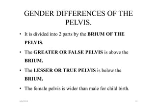 GENDER DIFFERENCES OF THE
             PELVIS.
• It is divided into 2 parts by the BRIUM OF THE
    PELVIS.
• The GREATER OR FALSE PELVIS is above the
    BRIUM.
• The LESSER OR TRUE PELVIS is below the
    BRIUM.
• The female pelvis is wider than male for child birth.

4/6/2013                                                  15
 