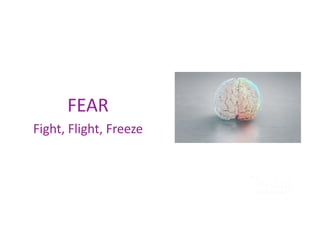 FEAR
Fight, Flight, Freeze
 