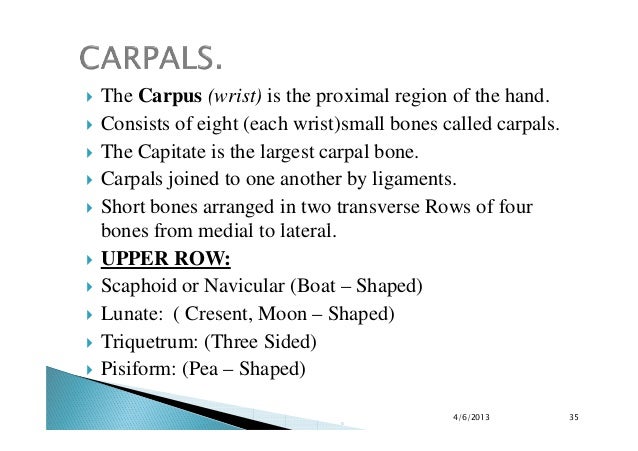 Name the carpals medial to lateral in the proximal row?