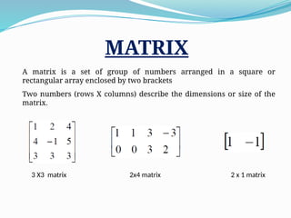 FINAL app MATRIX_RISHU_AND_NANCY_SEMESTER_PROFICIENCY[1].pptx