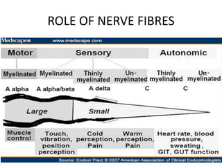 approach to polyneuropathy | PPT