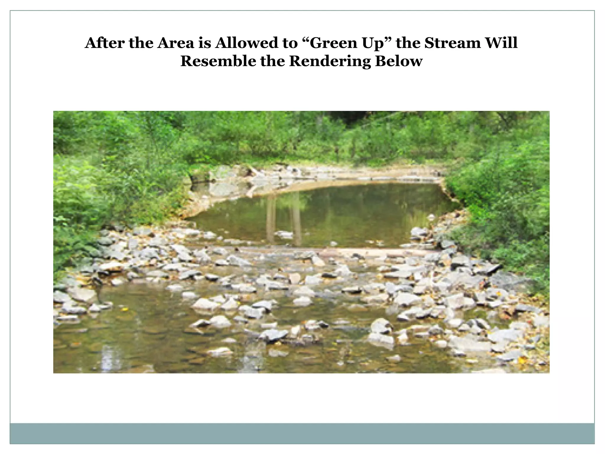 After the Area is Allowed to “Green Up” the Stream Will
Resemble the Rendering Below

 