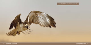 61 ‫التقليدية‬‫الثقافة‬‫يف‬ ‫البحرية‬‫الطيور‬ ‫تبوك‬‫منطقة‬‫يف‬‫البحرية‬‫الطيور‬ 60
‫التقليدية‬‫الثقافة‬‫يف‬‫البحرية‬‫الطيور‬‫ح�ضور‬‫الرابع‬‫الف�صل‬
 