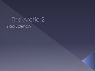 The Arctic 2 Ziad Soliman 