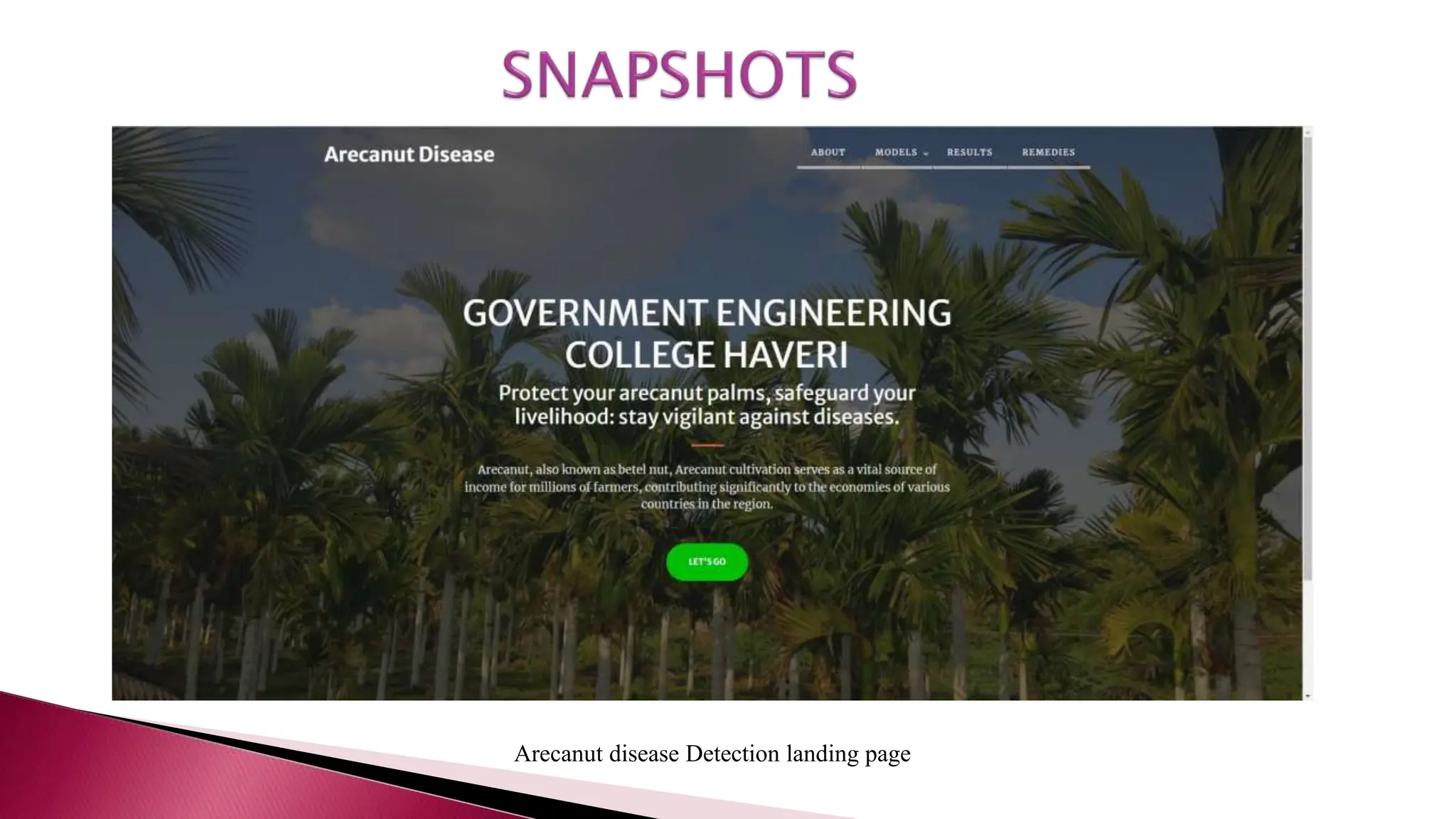 Arecanut disease Detection landing page
 