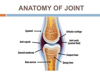 ANATOMY OF JOINT
 