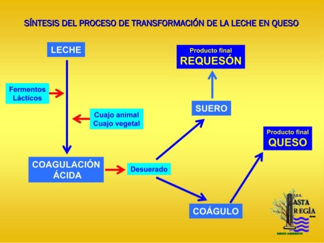 Aspectos básicos en la elaboración de quesos
