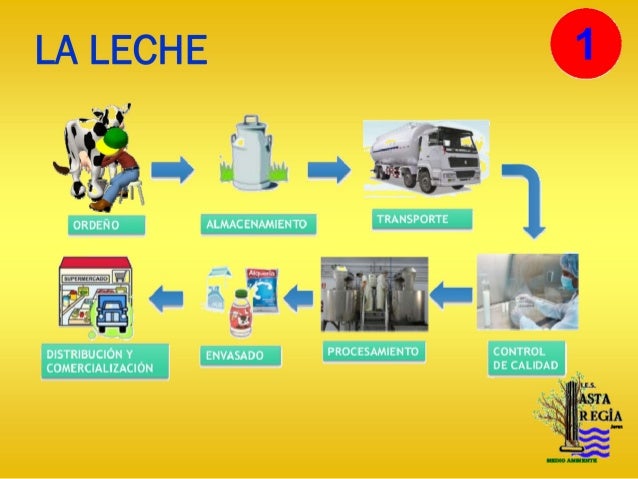 Aspectos básicos en la elaboración de quesos