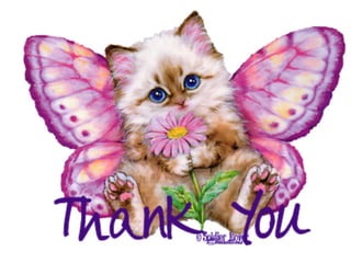 Assertiveness Training