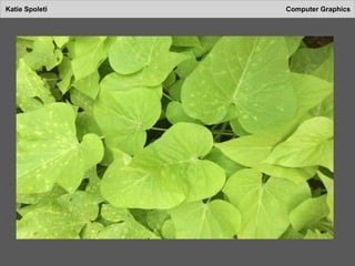 Katie Spoleti Computer Graphics
 