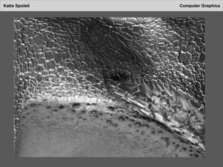 Katie Spoleti Computer Graphics
 