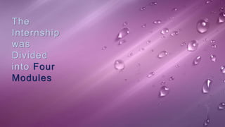 The
Internship
was
Divided
into Four
Modules
 