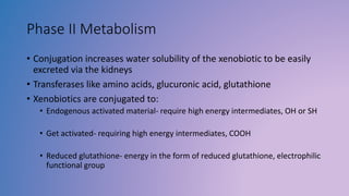 glutathione regenerates other antioxidants Xenobiotic Metabolism