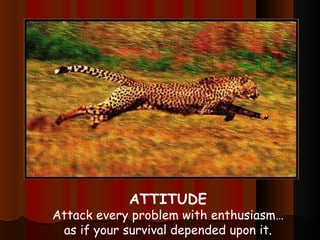 ATTITUDE Attack every problem with enthusiasm… as if your survival depended upon it. 