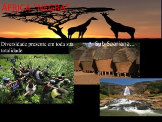 ÁFRICA “NEGRA”


Diversidade presente em toda sua   • Sub-Saariana...
totalidade




                    Petróleo
 