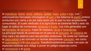 Los alimentos básicos en Camerún incluye
la mandioca, ñame, arroz, plátano, patata, maíz, judía y mijo. Los
colonizadores franceses introdujeron el pan y los italianos la pasta, ambos
productos son caros y es por esta razón por lo que no son ampliamente
consumidos. El suelo dedicado a la agricultura es bastante fértil y esto da
lugar al cultivo de numerosas verduras y frutas. Los más generales son
los tomates, la vernonia, hojas de cassava, okras y berenjenas.
La principal fuente de proteínas en el país es el pescado, la volatería es
muy cara y se reserva para las grandes ocasiones. Se suele ser habitual
la caza menor y en concreto un animal denominado pangolin, así como
el puercoespín y la rata gigante. Desafortunadamente existe mercado de
especies exóticas que obliga a poner en peligro especies como
el chimpancé y el gorila.
4
 