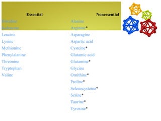 Essential                   Nonessential
Histidine                   Alanine
Isoleucine                  Arginine*
Leucine                     Asparagine
Lysine                      Aspartic acid
Methionine                  Cysteine*
Phenylalanine               Glutamic acid
Threonine                   Glutamine*
Tryptophan                  Glycine
Valine                      Ornithine*
                            Proline*
                            Selenocysteine*
                            Serine*
                            Taurine*
                            Tyrosine*
 