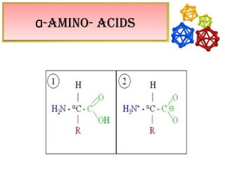 α-AMINO- ACIDS
 