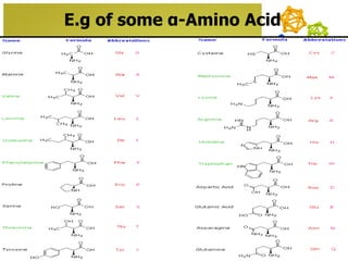 E.g of some α-Amino Acid
 