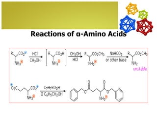 Reactions of α-Amino Acids

1.   Carboxylic Acid Esterification.
 
