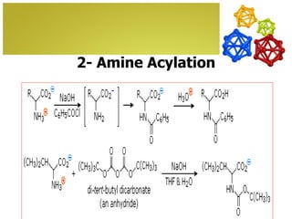 2- Amine Acylation
 