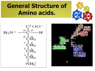 General Structure of
   Amino acids.
 