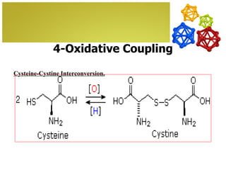 4-Oxidative Coupling

Cysteine-Cystine Interconversion.
 