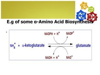 E.g of some α-Amino Acid Biosynthesis

•   Glutamate.
 