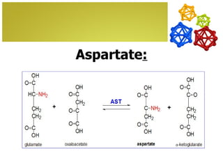Aspartate:
 