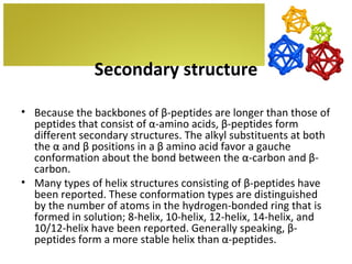Secondary structure

• Because the backbones of β-peptides are longer than those of
  peptides that consist of α-amino acids, β-peptides form
  different secondary structures. The alkyl substituents at both
  the α and β positions in a β amino acid favor a gauche
  conformation about the bond between the α-carbon and β-
  carbon.
• Many types of helix structures consisting of β-peptides have
  been reported. These conformation types are distinguished
  by the number of atoms in the hydrogen-bonded ring that is
  formed in solution; 8-helix, 10-helix, 12-helix, 14-helix, and
  10/12-helix have been reported. Generally speaking, β-
  peptides form a more stable helix than α-peptides.
 