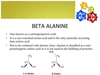 BETA ALANINE
•   Also known as 3-aminopropanoic acid,
•   It is a non-essential amino acid and is the only naturally occurring
    beta-amino acid.
•   Not to be confused with alanine, beta- alanine is classified as a non-
    proteinogenic amino acid as it is not used in the building of proteins.
 