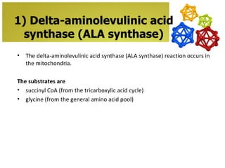 1) Delta-aminolevulinic acid
 synthase (ALA synthase)
•   The delta-aminolevulinic acid synthase (ALA synthase) reaction occurs in
    the mitochondria.

The substrates are
• succinyl CoA (from the tricarboxylic acid cycle)
• glycine (from the general amino acid pool)
 