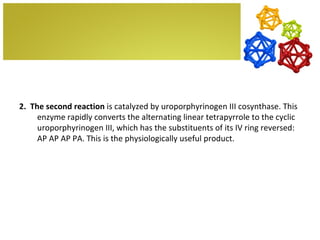 2. The second reaction is catalyzed by uroporphyrinogen III cosynthase. This
     enzyme rapidly converts the alternating linear tetrapyrrole to the cyclic
     uroporphyrinogen III, which has the substituents of its IV ring reversed:
     AP AP AP PA. This is the physiologically useful product.
 
