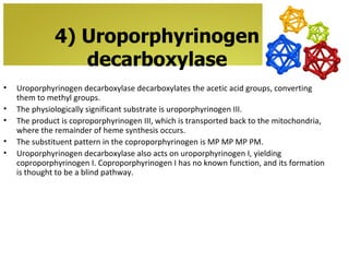 4) Uroporphyrinogen
                 decarboxylase
•   Uroporphyrinogen decarboxylase decarboxylates the acetic acid groups, converting
    them to methyl groups.
•   The physiologically significant substrate is uroporphyrinogen III.
•   The product is coproporphyrinogen III, which is transported back to the mitochondria,
    where the remainder of heme synthesis occurs.
•   The substituent pattern in the coproporphyrinogen is MP MP MP PM.
•   Uroporphyrinogen decarboxylase also acts on uroporphyrinogen I, yielding
    coproporphyrinogen I. Coproporphyrinogen I has no known function, and its formation
    is thought to be a blind pathway.
 