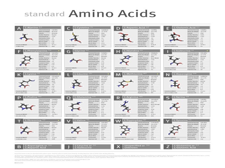 Amino Acid Characteristics Chart