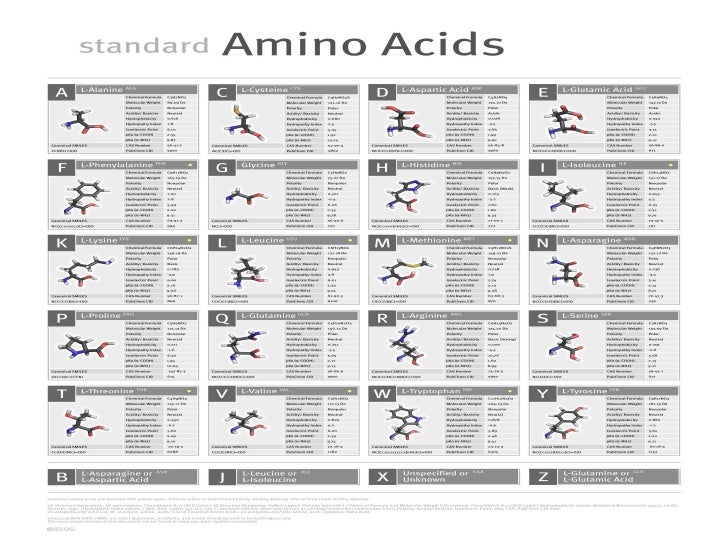 Amino Acid Structure Chart Pdf